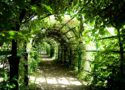 Pergola ogrodowa drewniana - to konieczność w ogrodzie