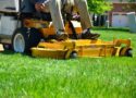 Renowacja trawnika - potrzeba tylko kilku kroków