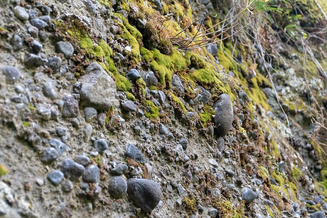 Co lepsze konglomerat czy spiek? Co lepsze konglomerat czy spiek?