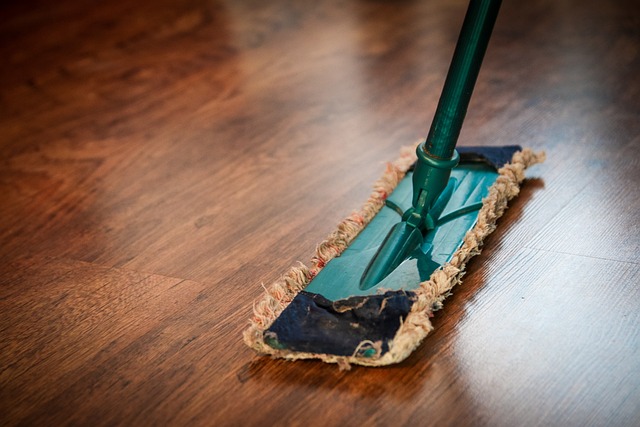 Czy mop parowy nadaje się do paneli laminowanych?